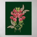 Search for sweet pea gifts Butterflies