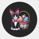 Search for cat meme stickers Yellow
