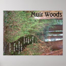Recherche de forêt de séquoia posters Bois