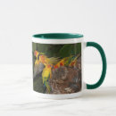 Search for rain forest mugs Parrots