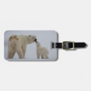Search for polar bear luggage tags Animals in the wild