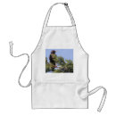 Search for spruce tree aprons Nature