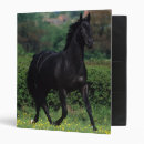 Search for thoroughbred binders Flowers
