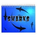 Recherche de requins calendriers Requin marteau