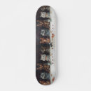 Search for parties skateboards Illustration