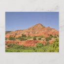 Recherche de scène tranquille cartes postales Plante