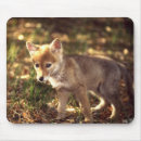 Search for coyotes mousepads Canine