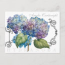 Search for blue hydrangeas postcards Garden