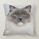 Search for veterinarian gifts Cats
