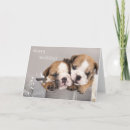Search for bulldog puppies cards Animal
