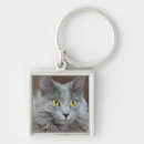 Search for cat hair keychains Grey