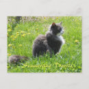Recherche de sunshine cartes postales Photographie