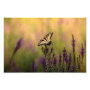 Recherche de couleurs chaudes art Papillon