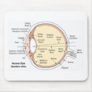 Recherche de humain anatomie tapis souris Anatomique
