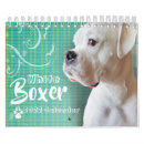 Search for boxer dog calendars Cute