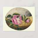 Search for old fashioned valentine postcards Rose