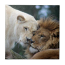 Recherche de lion carreaux Safari