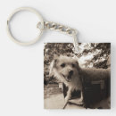 Search for inside keychains Animals