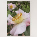 Search for camelia Floral