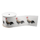 Search for chicken rooster ribbon Bird