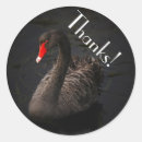 Search for beaks stickers Swan