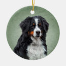 Search for bernese mountain dog ornaments Breed