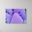 Search for micrography Colour effect
