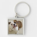 Search for shoulders keychains Humour