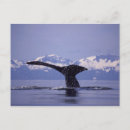 Search for westmorland postcards Ocean