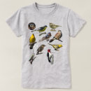 Recherche de rouge gorge tshirts Oiseaux