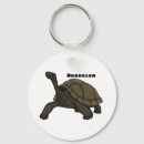 Search for galapagos keychains Ecuador