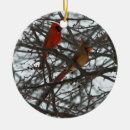 Recherche de cardinal ornements Rouge