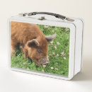 Search for pig lunch boxes Farm animals