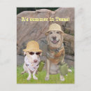 Recherche de chaudement cartes postales Chien