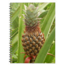 Recherche de ananas tropical carnets Vert