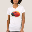 Search for eclectus parrot Bird
