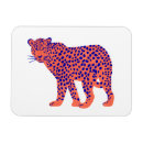 Search for fun rectangular magnets Tropical
