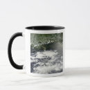 Search for slicks mugs Oil spill