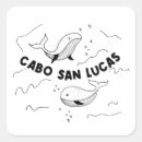 Recherche de cabo autocollants Cabo san lucas