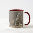 Search for kats mugs Cute