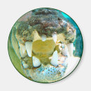 Search for crocs magnets Reptile