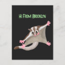 Recherche de planeur cartes postales Planeur à sucre