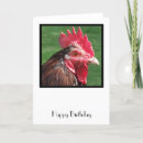 Recherche de poulailler vœux cartes Poulet