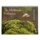 Search for mushroom calendars Nature