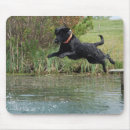 Recherche de laboratoire tapis souris Labrador retriever