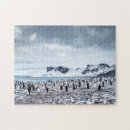 Search for antarctic puzzles Winter