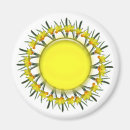 Recherche de narcisse magnets Botanique