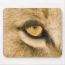 Search for framing electronics Animals