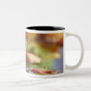 Recherche de érable tasses Coloré