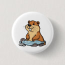Search for beaver buttons Wildlife